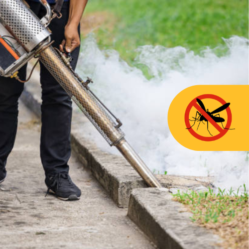 Mosquito Control: image showing mosquito netting and fogging in a garden area